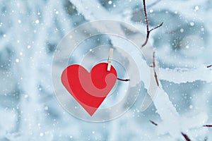 Paper heart hanging on snow tree branch for Valentines day