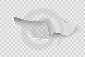 Paper hole. Realistic torn blank rip edge banner. Tear off paper curled piece isolated on transparent background. Vector photo