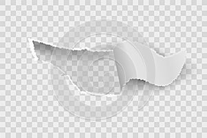 Paper hole. Realistic torn blank rip edge banner. Tear off paper curled piece isolated on transparent background. Vector
