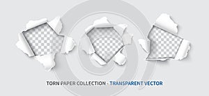 Paper hole set realistic vector