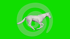 Paper horse running and jumping, seamless loop, Green Screen Chromakey