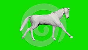 Paper horse running, seamless loop, Green Screen Chromakey