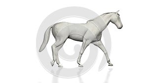 Paper horse walking, seamless loop, against white