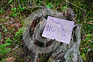 paper with the inscription HERE IS NO PLANET B on old stump against the background of grass