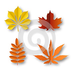 Paper leaves autumn. Fall colourful foliage beautiful nature decor isolated elements. Yellow red and orange bright