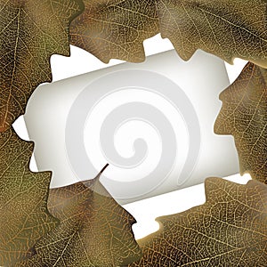 Paper with leaves, frame