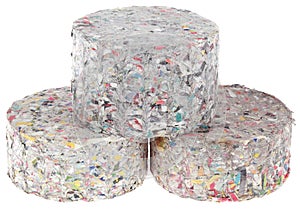 Paper Log Briquettes Cutout