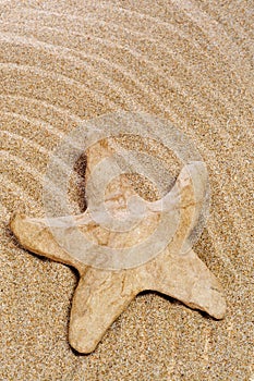Paper-mache seastar on the sand