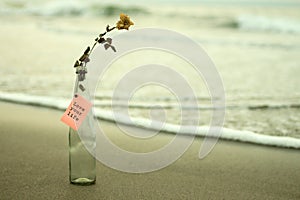 Paper message on the bottle - Love your life. With dried white rose in a vase glass on sands , white light background of the beach