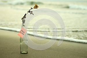 Paper message on the bottle - New Life. With dried white rose in a vase glass on sands , white light background of the beach.