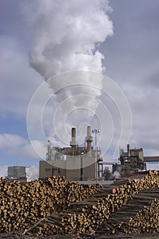 Paper Mill with Stacks of Trees to be processed