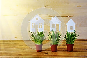 Paper models of houses in pots with a green grass on a wooden background