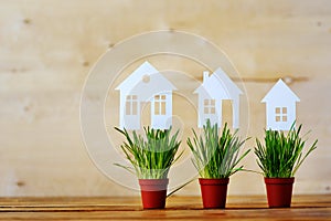 Paper models of houses in pots with a green grass on a wooden background