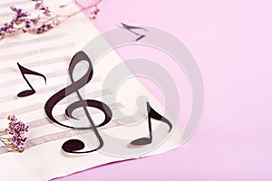 Paper musical clef and paper notes on a sheet of music and dry flowers