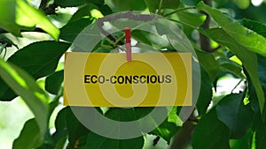 A paper note with the word Eco-Conscious on it attached to a tree with a clothes pin