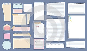 Paper notes. Copybook linear pages lists of notebooks different sizes stripped notes vector