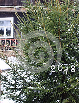 Paper numbers 2018 on fir tree green branches.