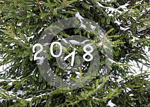 Paper numbers 2018 on fir tree green branches.