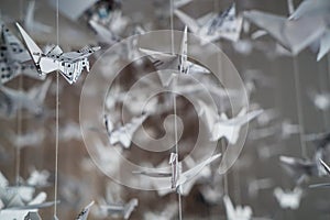 Paper origami cranes