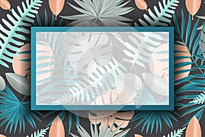Paper palm, monstera leaves pattern with frame. Summer tropical