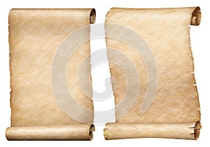 Paper or parchment scrolls set isolated on white