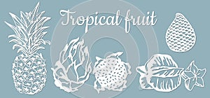 Paper pineapple, pitahaya, Carambola, Salak. Tropical fruit isolated. Symbol of food, sweet, exotic, summer, vitamin, healthy.
