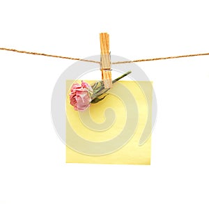 Paper and pink rose with clothes peg. Series