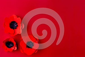 paper Poppy flower on red background. Decorative paper flower for Remembrance Day. Memorial Day. Veterans day