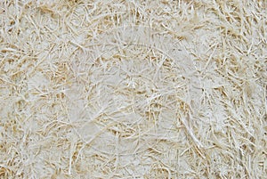 Paper pulp