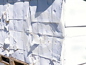 Paper and pulp mill - Cellulose photo
