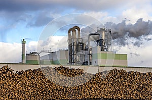 Paper and pulp mill