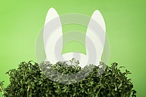 Paper rabbit hidden in green grass