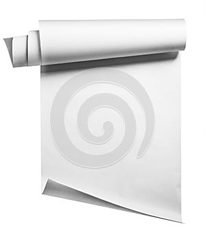 Paper roll, isolated