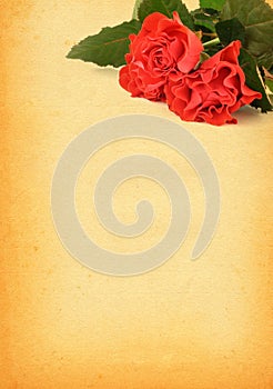 Paper with rose motive