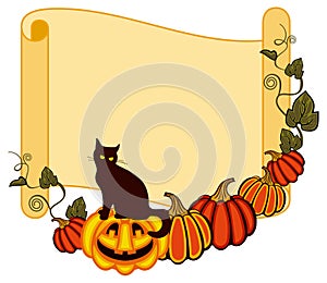 Paper scroll background and a black cat sitting up on the Halloween pumpkin.