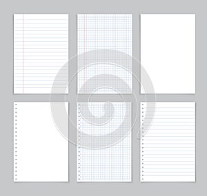 Paper sheet from notebook. White page from notepad with blue and red lines. Notepaper for note in school with grid. Blank letters