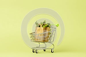 Paper shopping bags with fresh green salad in cart, trolley. Eco food delivery concept, vegetarianism