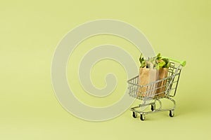 Paper shopping bags with fresh green salad in cart, trolley. Eco food delivery concept, vegetarianism