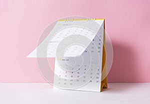 Paper spiral calendar year 2019 on pink background