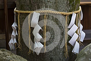 Paper and straw Shimenawa around tree