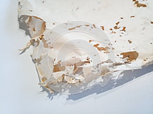 Paper swallowed with silverfish. Traces of wrecking silverfish on vinyl envelopes