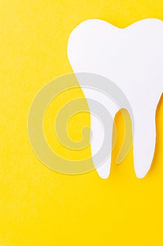 Paper tooth on a yellow background. Place for text. From above. place for text