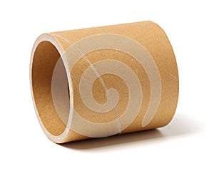 Paper tube of toilet paper