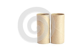 Paper tube of toilet paper