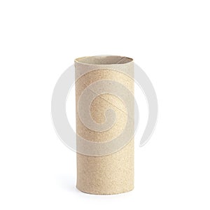 Paper tube of toilet paper