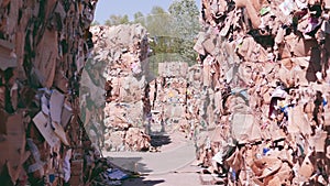 Paper waste landfill. pressed waste paper and cardboard. paper recycling. landfill. ecological factory