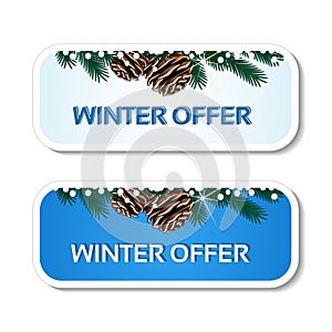 Paper winter offer, blue stickers on the white background - Christmas sale label with with pinecones and twig