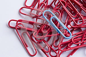 Paperclips on a white surface