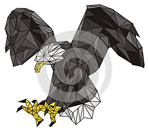 3d black eagle photo