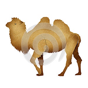 Papercut Camel Recycled Paper